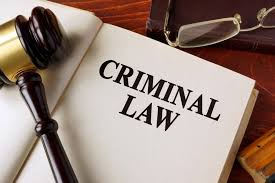 Criminal Lawyer In Mumbai